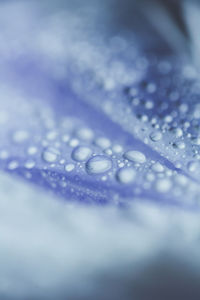 Full frame shot of water