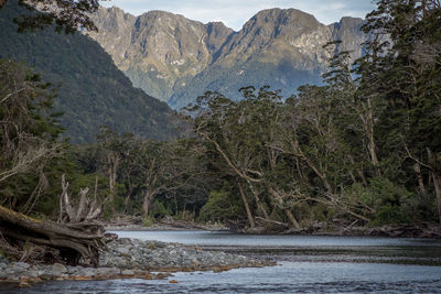 Scenic view of river amidst trees against mountains