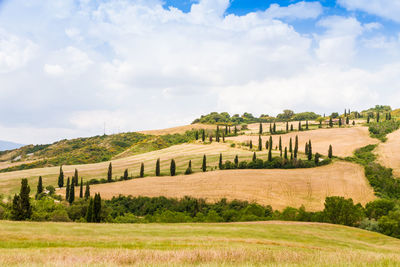 Scenic view of landscape against cloudy sky