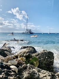 Sailboats on sea shore against sky