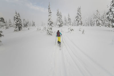 Rear view of people skiing on snow covered mountain