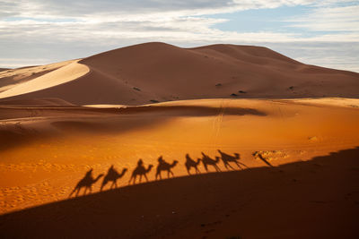 Scenic view of desert against sky