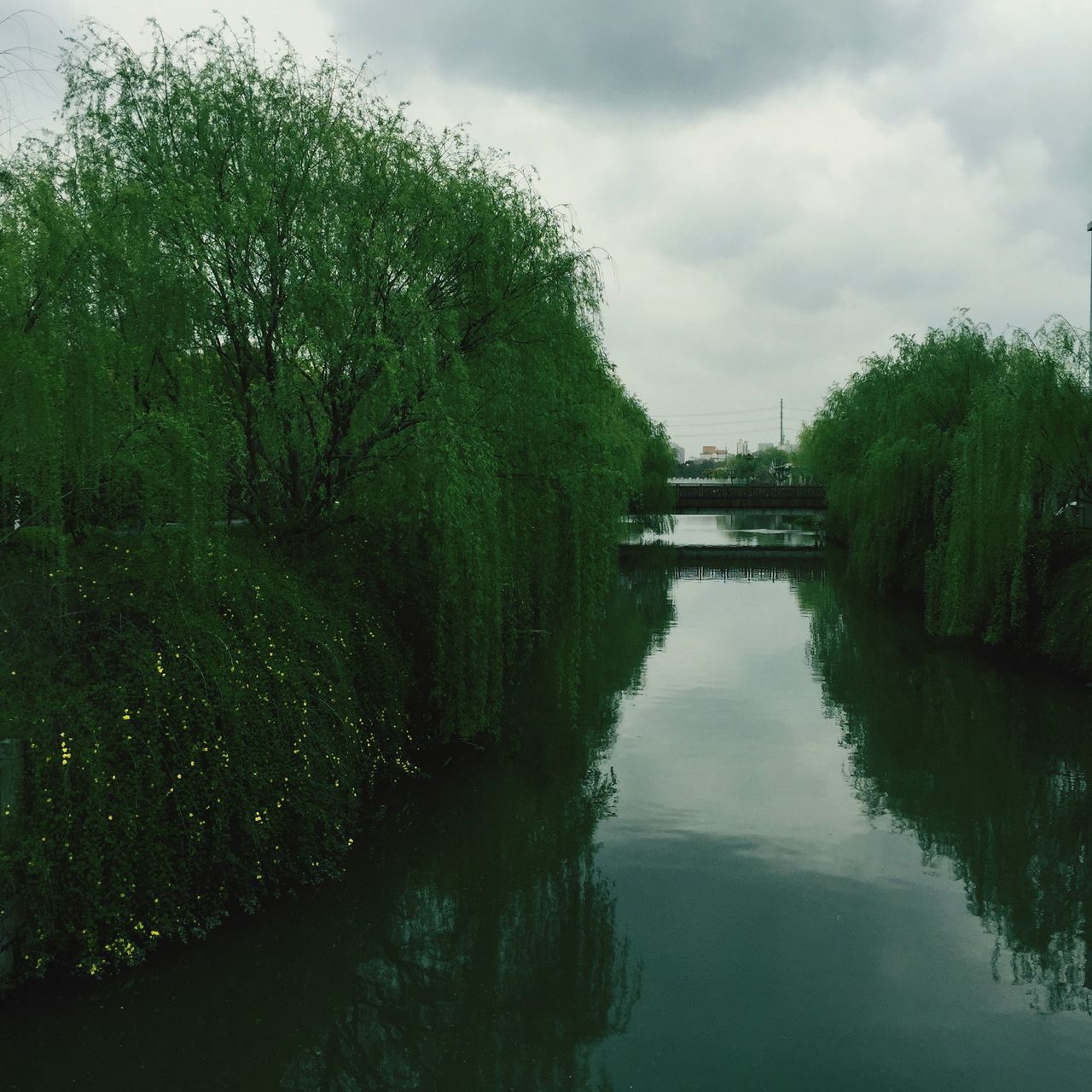 Shanghai Finance University l 上海金融学院