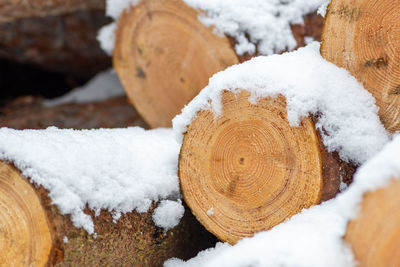 Stack or pile composed of blocks, pieces or logs of wood in winter or spring with snow