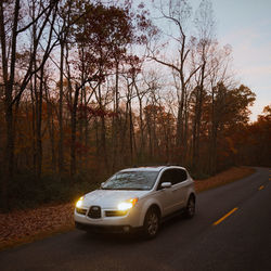 Car on road in forest