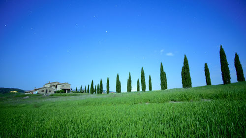 Panoramic shot of agricultural field against clear blue sky