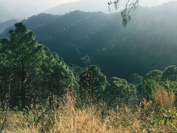 Scenic view of tree mountains against sky