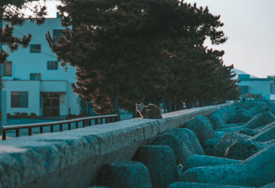 Man sitting by dog against sky
