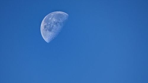 Low angle view of jellyfish against clear blue sky