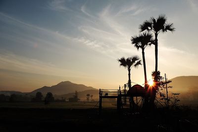 Silhouette palm trees against sky during sunset