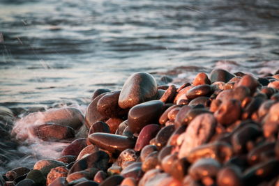 Sunset in the sea. batumi. georgia