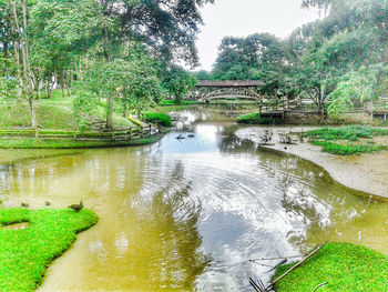 Scenic view of river in forest against sky