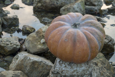 High angle view of pumpkins on rocks