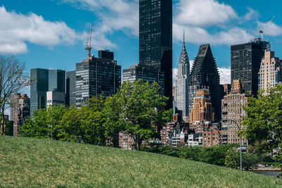 Trees and buildings in city against sky