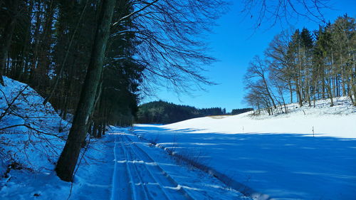 Snow covered land and trees against blue sky