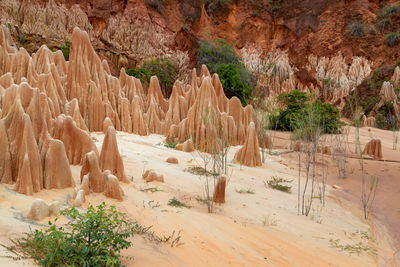 Red sandstone formations and needles in tsingy rouge park in madagascar, africa