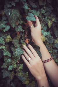 Close-up of woman hand with leaves