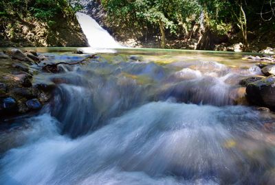 Scenic view of waterfall in forest