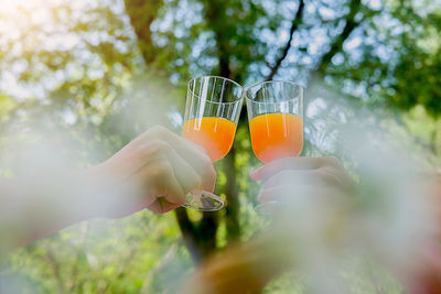 Cropped hands of women toasting juice against tree