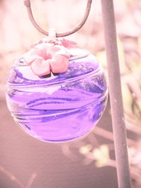 High angle view of pink rose in glass