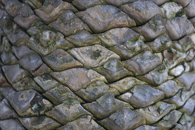 Full frame shot of rocks