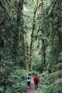 A young couple enjoys a hike in a forest in the pacific northwest.