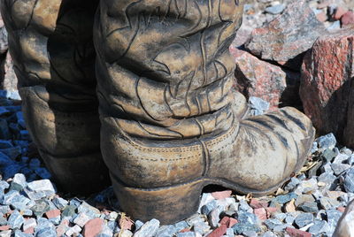 Close-up of lizard on rock