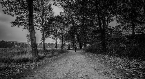 Dirt road amidst trees in forest