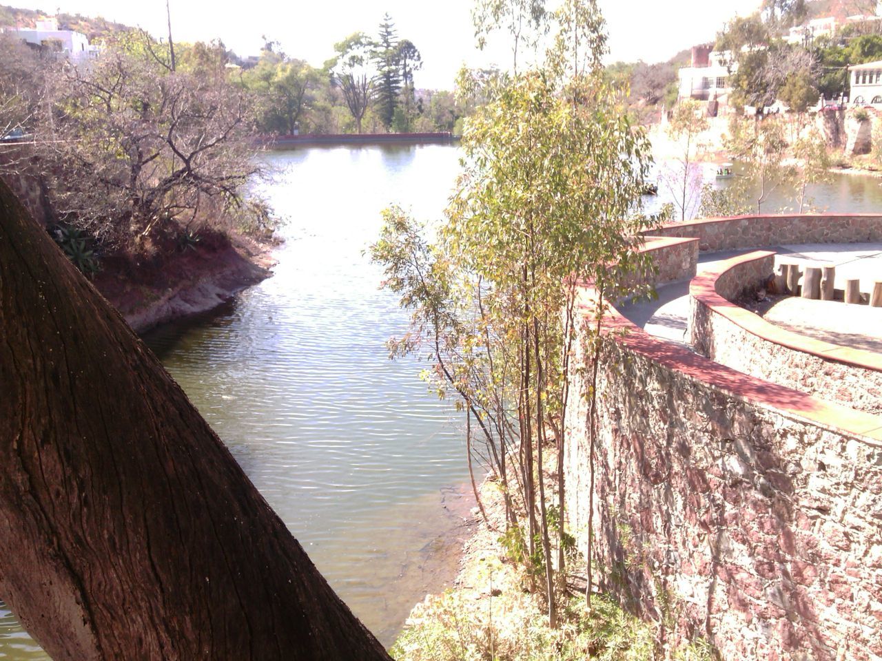 water, tree, built structure, architecture, river, canal, reflection, building exterior, bridge - man made structure, lake, transportation, connection, nature, tranquility, day, nautical vessel, outdoors, boat, arch bridge, tranquil scene