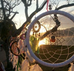 High angle view of bicycle by tree