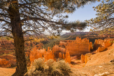 Rock formations on landscape