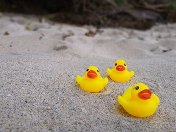 Close-up of yellow toy on sand