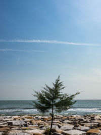 Scenic view of sea and vapor trail against sky