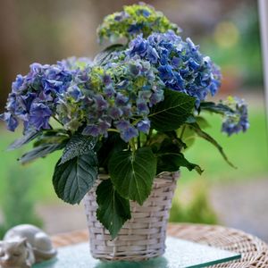 Close-up of purple flower pot on table