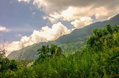 Scenic view of mountains against sky