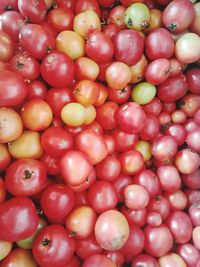 Full frame shot of tomatoes in market