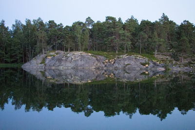 Scenic view of lake against trees in forest