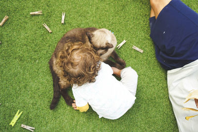 Close-up of hands holding cat