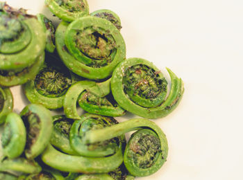 Close-up of cooked fiddlehead on white background