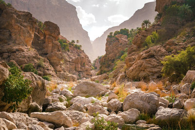 Gorge of wadi tiwi in oman. beautiful nature in wild desert valley with palm trees and steep rocks.