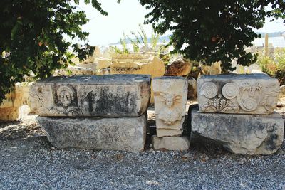 Shadow of tree on stone wall
