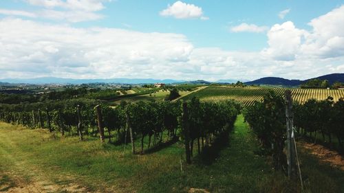 Scenic view of field against cloudy sky