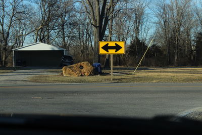 Dog on road by house against clear sky