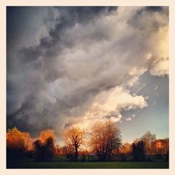 Bare trees on field against cloudy sky