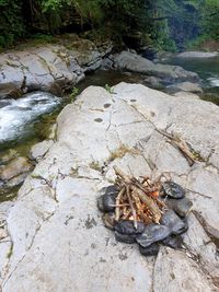 High angle view of crab on rock