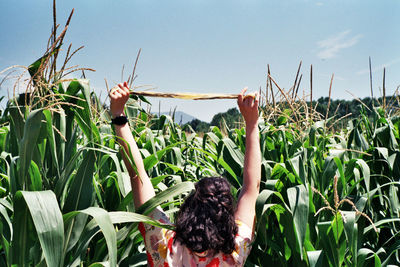 The girl posing on corn field