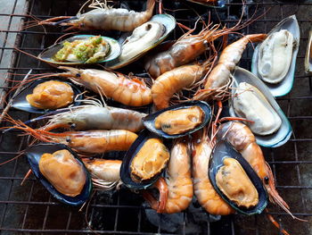 High angle view of fish for sale