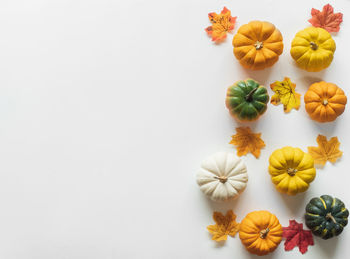 High angle view of orange flowers against white background