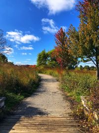 Road amidst plants against sky during autumn