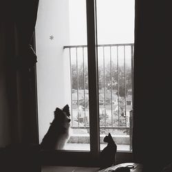 View of window